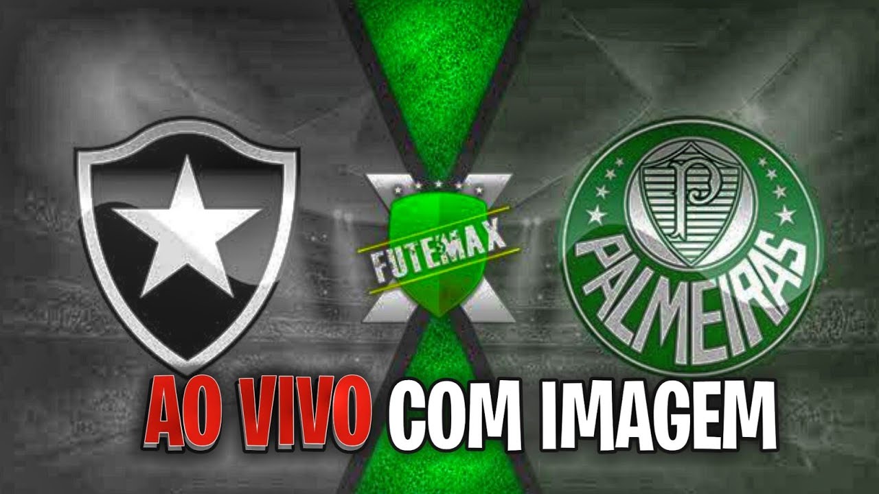 BOTAFOGO X PALMEIRAS AO VIVO COM IMAGENS - YouTube