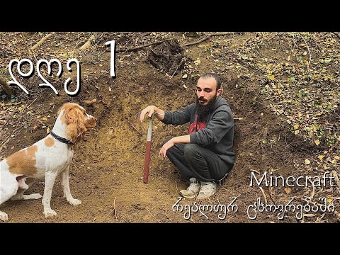 მიწისქვეშა სახლს ვაშენებ ! Minecraft რეალურ ცხოვრებაში (დღე 1)