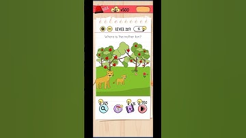 Brain test level 207 solution / where is the mother Lion?