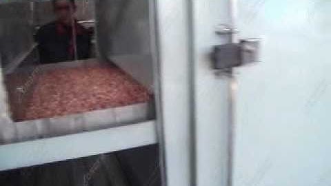 Continuous Type Peanut Roasting Machine