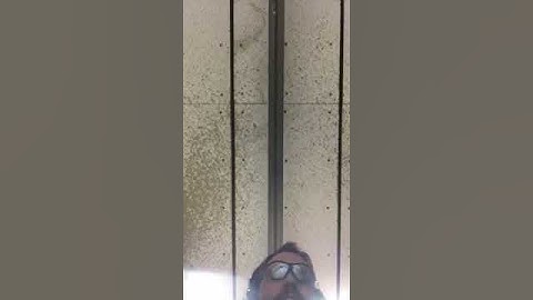 M&P 15/22 with Franklin Arms BFS III Binary Trigger