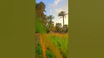 ولما فصلت العير قال أبوهم إني لأجد ريح يوسف لولا أن تفندون يوسف ٩٤ 