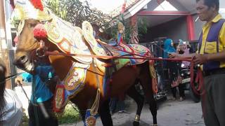 Seni kuda renggong bojes grup sri permadani kecamatan cimalaka kabupaten sumedang