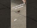 #music