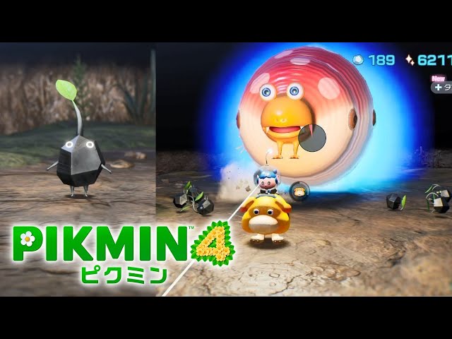 ピクミン4】花ふぶきの楽園 #2 けだものの王国 岩ピクミン、まっ