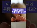 이걸로 발냄새 와 무좀 이 없어진다고 이걸로 발냄새 와 무좀 이 없어진다고