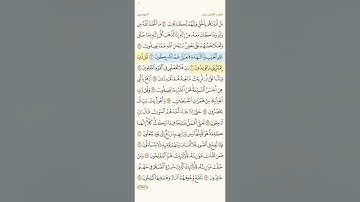 سوره الانبياء القارئ ماجد العقل من الأصفر حتى الأخضر 93-118