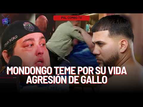 Gallo se entrega. Entre chotiaera y códigos con Mondongo
