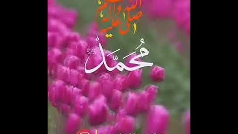 حالات يوم الجمعة القارئ رعد الكردي