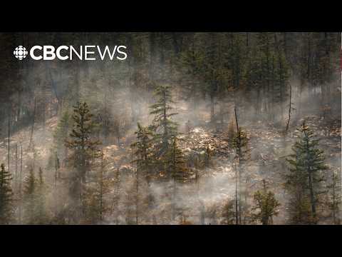 Wildfire expert explains fire behaviour in Fraser Canyon