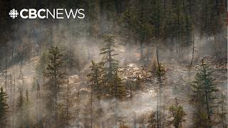 Wildfire expert explains fire behaviour in Fraser Canyon