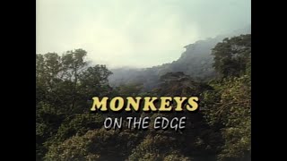 Monkeys on the Edge (1990) by ThisOldVideo2 9,898 views 10 months ago 57 minutes