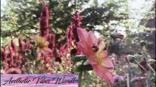 1 hour loop - lavi kou - ur friends ☁️ playlist in bio 🎧 lofi beats to relax ☁️ study ☁️ chill out