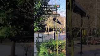 #sapanca NATÜRKÖY #doğa #kahvaltı ve #kahve için uğrayın, içim açıldı resmen.#reklam değil tavsiye