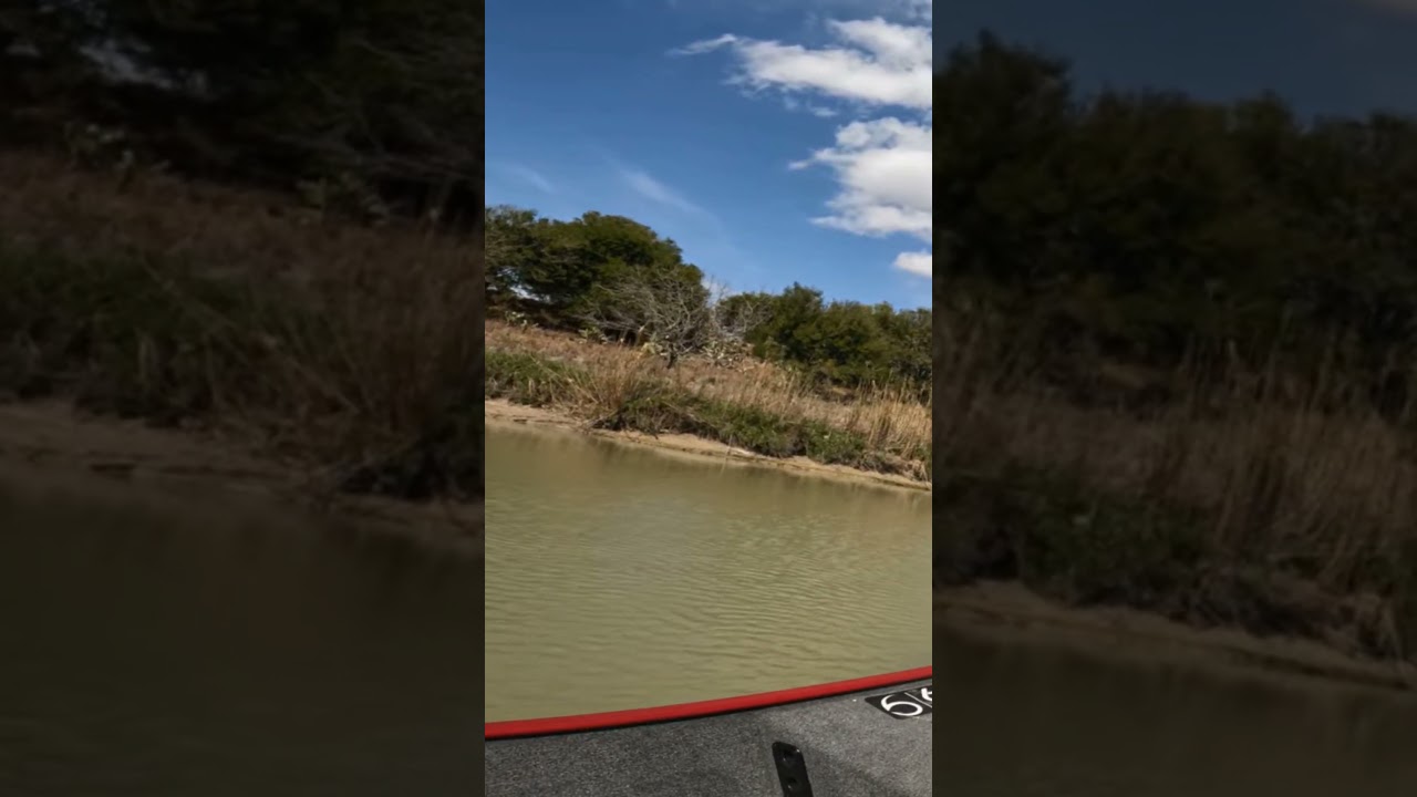 Южный Техас Гар 