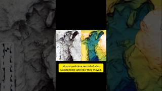 Fossil footprints reveal two species of human ancestors lived side-by-side, a scientific first
