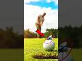 🪰A Fly Wins Millions!?🤯 Unbelievable Golf Victory | Viral Shocking Facts 💰| #Shorts #ytshorts #facts