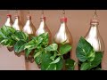 Make Your Extra Wooden Plank into Hanging Planter Using Plastic Bottles with Money Plants