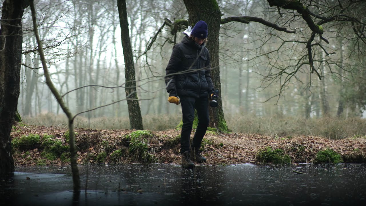 Ice cracking ASMR (Frozen forest)