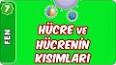 Hücre Teorisi: Canlıların Temel Yapı Taşları ile ilgili video