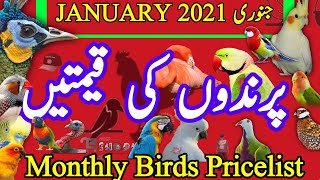 Bird Market Update Pakistan 2021 | Monthly Pricelist Birds |  2021  جنوری پرندوں کی ماھانہ قیمتیں