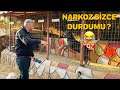 YURT DIŞINDAN GELEN KÖPEK DURDURMA CİHAZI İŞE YARAYACAKMI ?