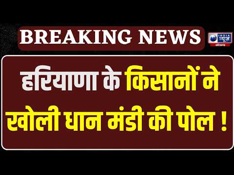 Haryana Dhan Kharid: Sirsa मंडी में धान के भाव पर किसान परेशान, ₹3300–₹3900 में बिक रही फसल |