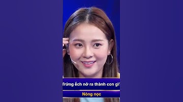 Trí Lực Sánh Đôi | Tam Triều Dâng hoàn thành khá xuất sắc phần thi #tlsd