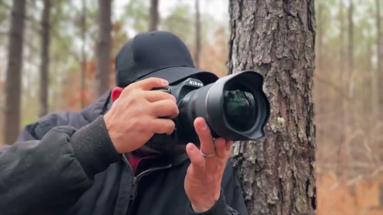 Ultimate 200-Acre Tennessee Land With Spring-Fed Creek + Wilderness Access | RealTracs MLS 