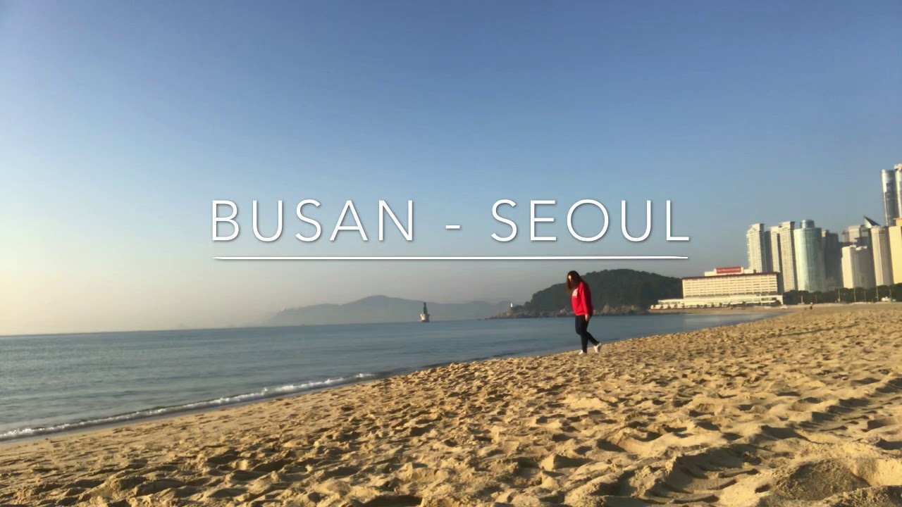 busan travel vlog