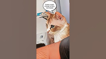 Clever Cat Coder! 😸💻 Gaia