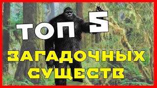 ТОП 5: ТОП САМЫХ ЗАГАДОЧНЫХ СУЩЕСТВ ТОП 5: ТОП САМЫХ ЗАГАДОЧНЫХ СУЩЕСТВ
