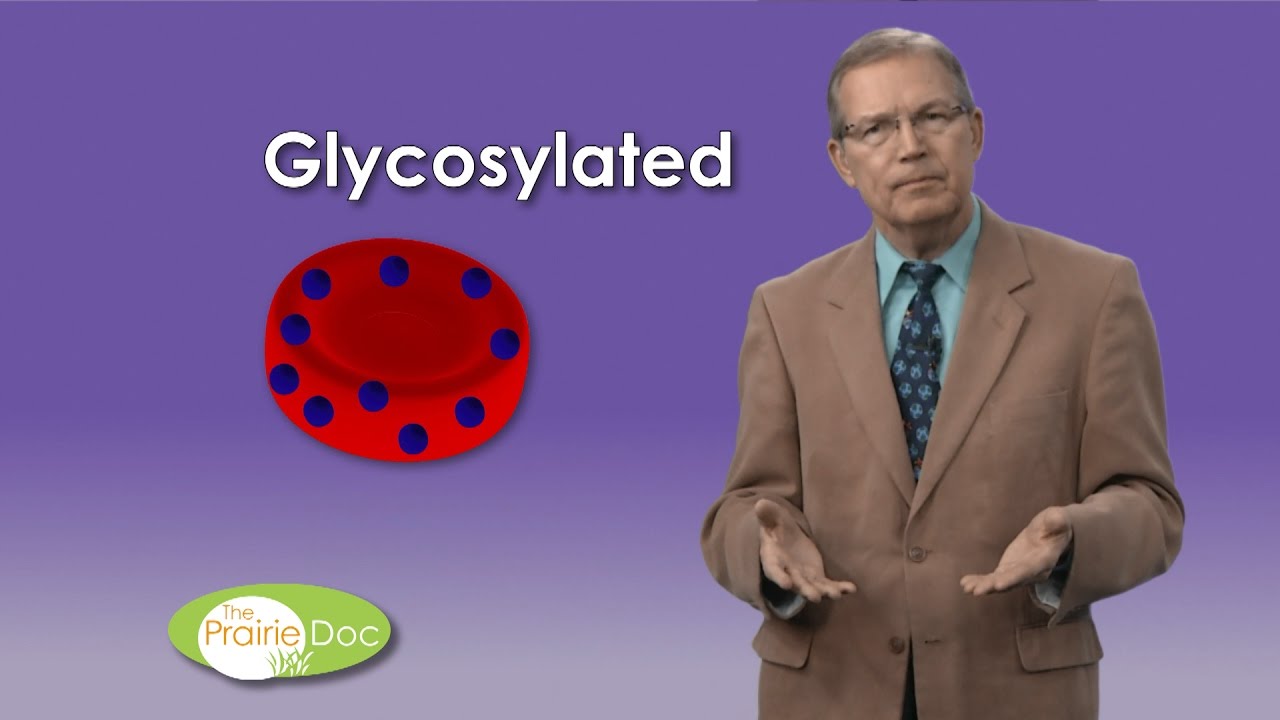 Tasting urine to test for diabetes mellitus By Richard P. Holm, MD