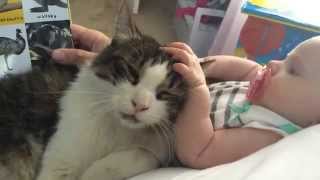 Baby Petting Her Cat ADORABLE