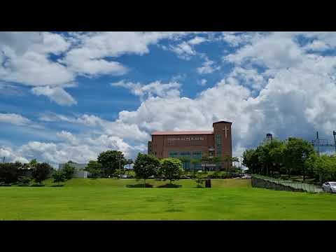 한 폭의 그림같은 기쁜소식전주교회 풍경을 담았어요 🌳