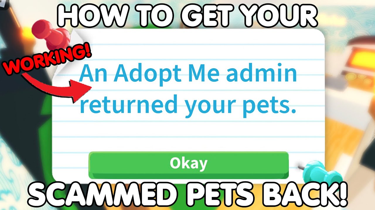 So i have evidence of a time i was hacked on adopt me last year and i didnt  know how to contact support is there any way i can get my pet