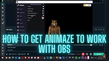 How to get Animaze  to Work with Stream Labs OBS