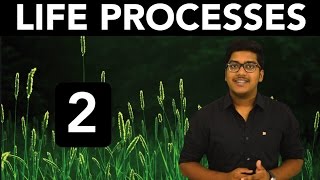 Biology: Life Processes (Part 2)