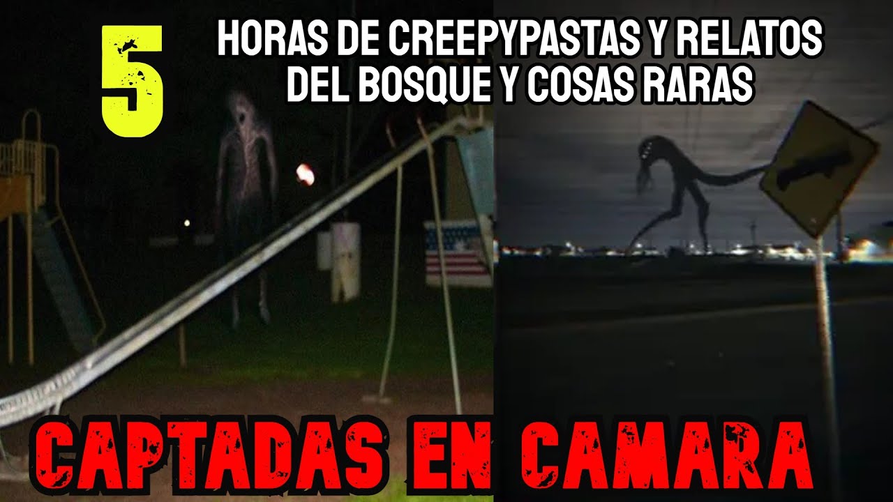 9 Creepypastas & Relatos de Horror del Bosque Cosas Captadas en Camara