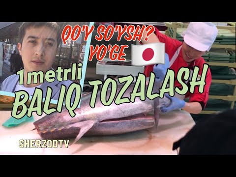 Video: Roach Baliq Qanday Ko'rinishga Ega?