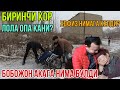 УКАСИНИ ДЕБ ОИЛАСИДАН ВОЗ КЕЧГАН ЛОЛА ОПА ТАГДИРИ.