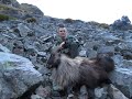 Winter Bull Tahr Hunting 2021