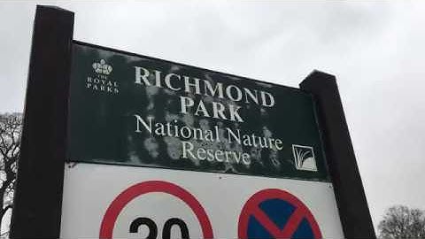 Rebecca Wright FOI2 VIDEO