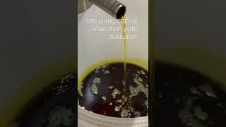 CBD oil after short path distillation#shorts