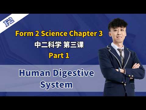 2026 中二科学第三课 | Science Form 2 Chapter 3 Nutrition | Nutrisi