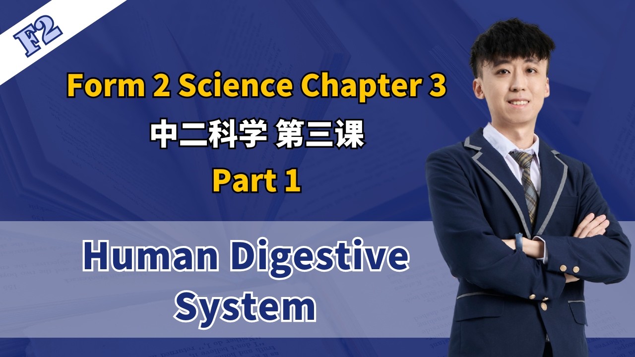 2026 中二科学第三课 | Science Form 2 Chapter 3 Nutrition | Nutrisi - YouTube