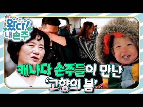 내 손주🧓🏻｜국제가정｜<strong>조부모</strong>｜리얼리티｜EBS키즈｜[EBS놀이터]