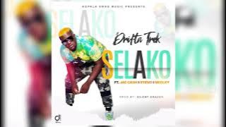 Drifta Trek Ft Medley x Jae Cash & Stevo - Selako [Audio] || #ZedMusic