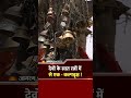 हमीरपुर का चमत्कारी कल्पवृक्ष | देवों के 7 रत्नों में एक | Hamirpur Kalpvriksha