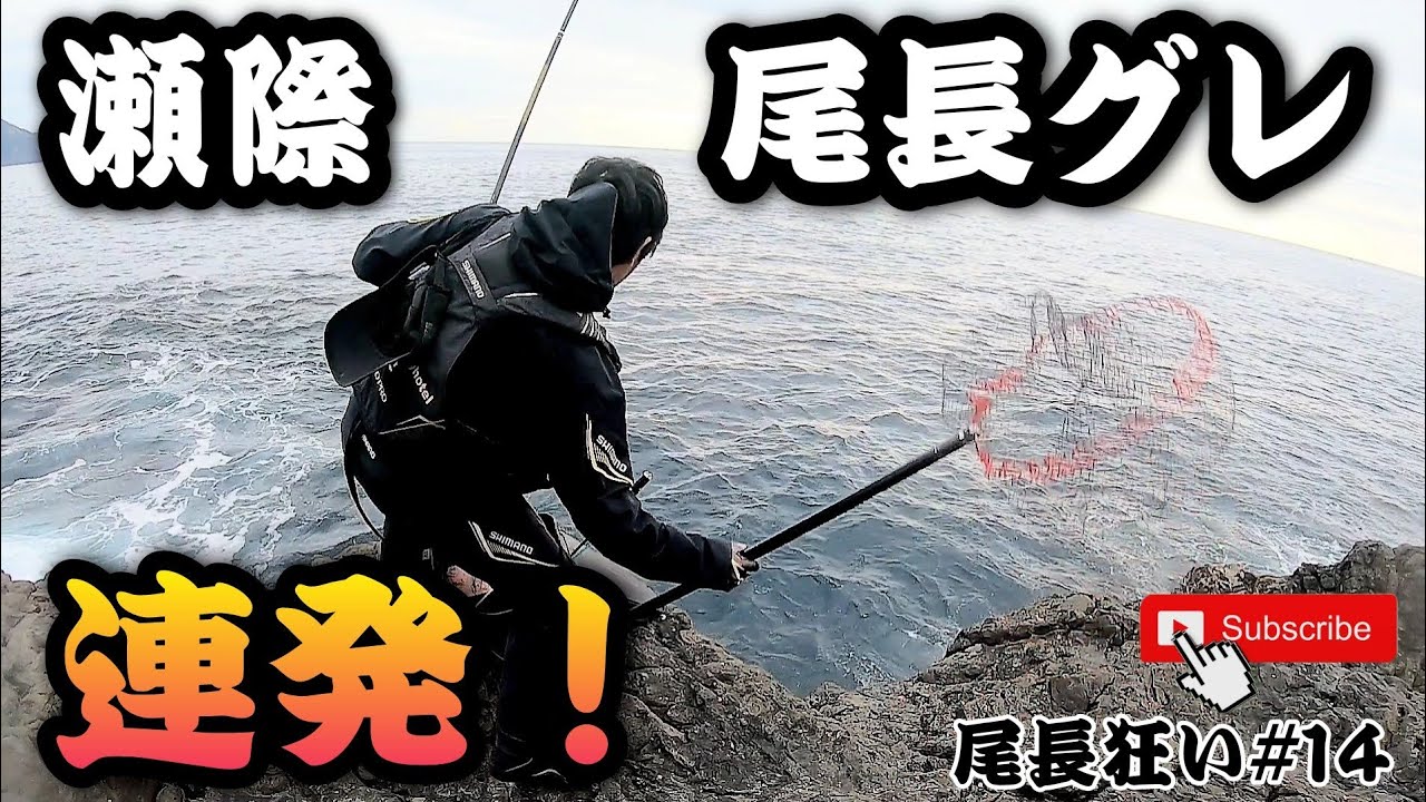 【奄美大島】瀬際で連発尾長グレ